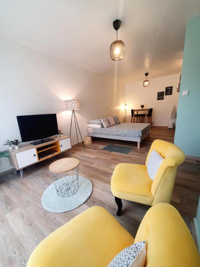 Studio Fonctionnel Au Calme Avec Garage Individuel Et Balcon Apartment Lyon Ngoại thất bức ảnh