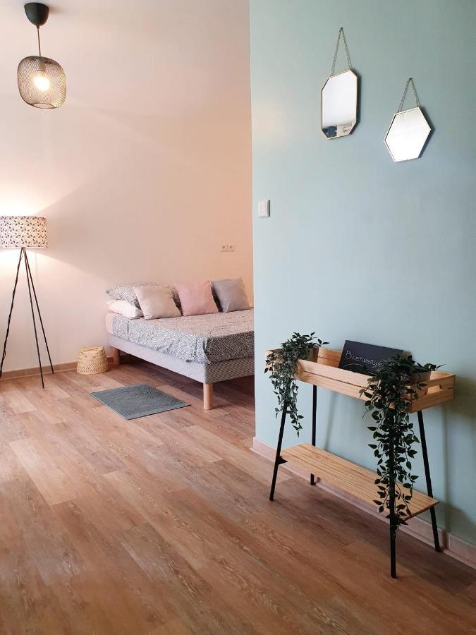 Studio Fonctionnel Au Calme Avec Garage Individuel Et Balcon Apartment Lyon Ngoại thất bức ảnh